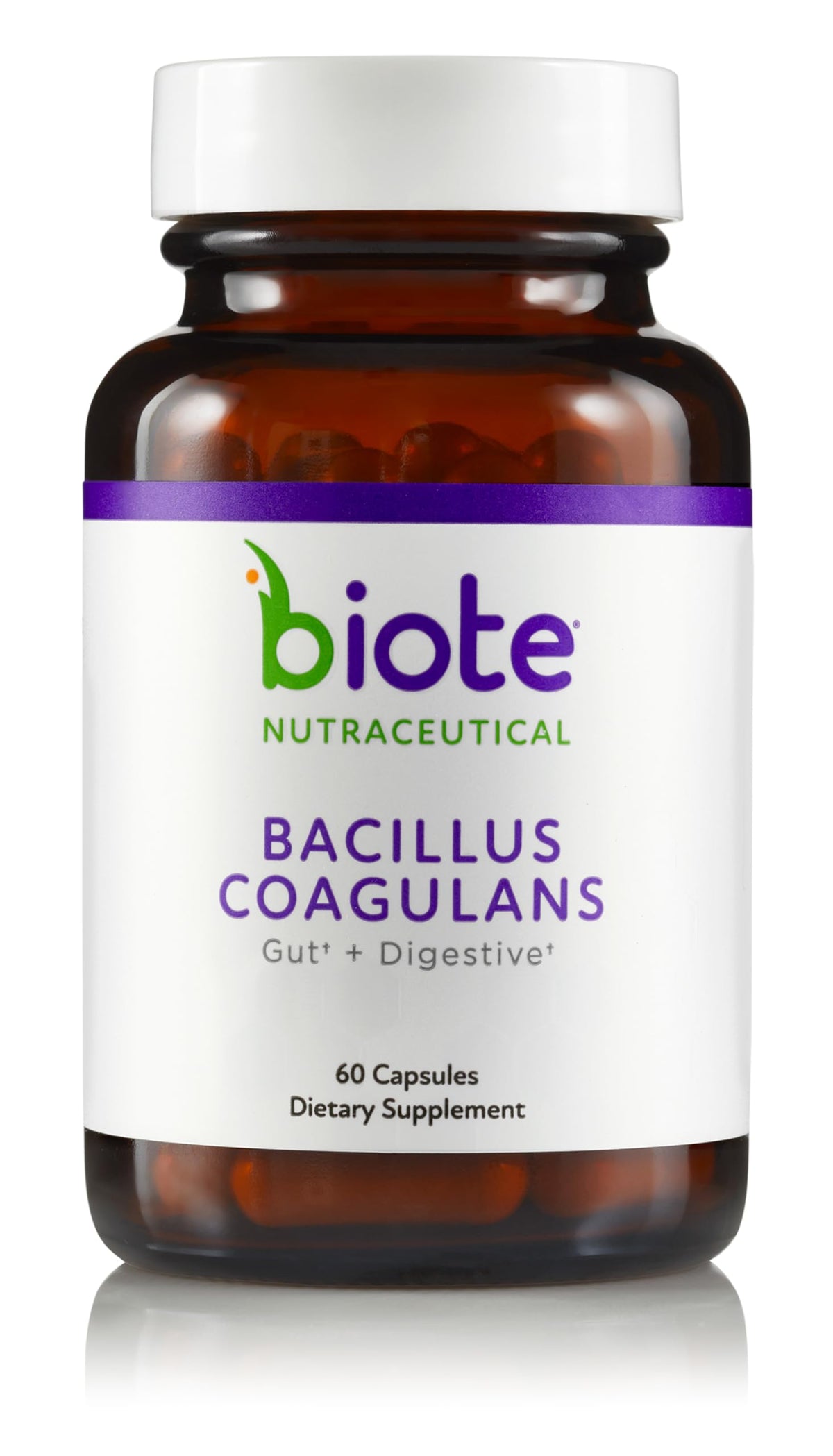 Biote Bacillus Coagulans bottle front for daily digestive health support