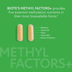 Biote Methyl Factors+ packaging highlights gluten-free and soy-free attributes