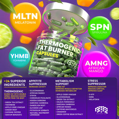 BIOTEQUELAB Garcinia Cambogia and green tea ingredients for appetite control
