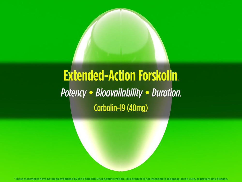 Biotest Carbolin 19 capsules arranged for convenient consumption