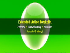 Biotest Carbolin 19 capsules arranged for convenient consumption