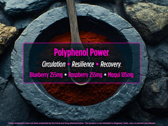 Biotest Superfood closeup emphasizes freeze-dried berries and anthocyanins