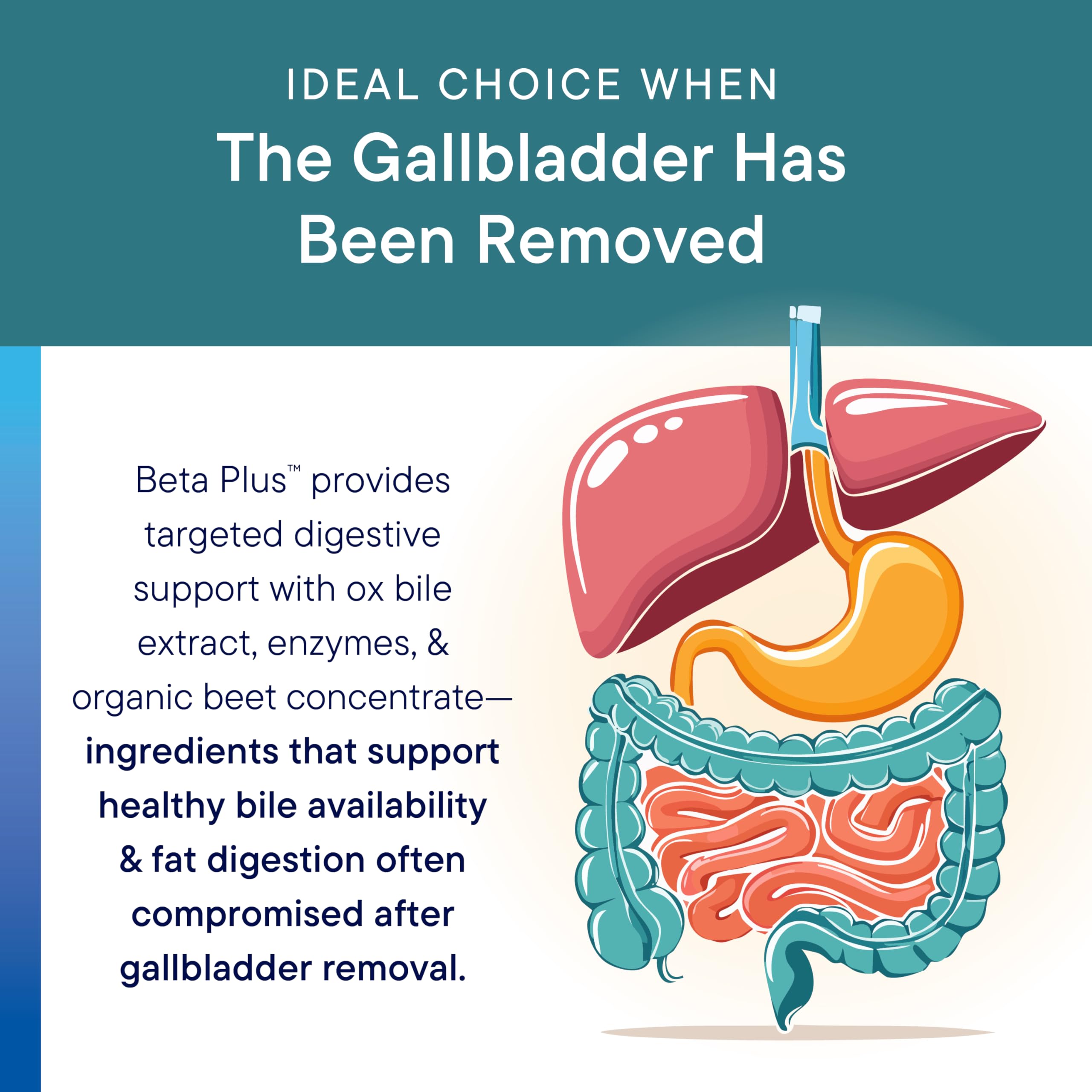 Biotics Research Beta-Plus pancrelipase enzyme supports fat digestion potential.