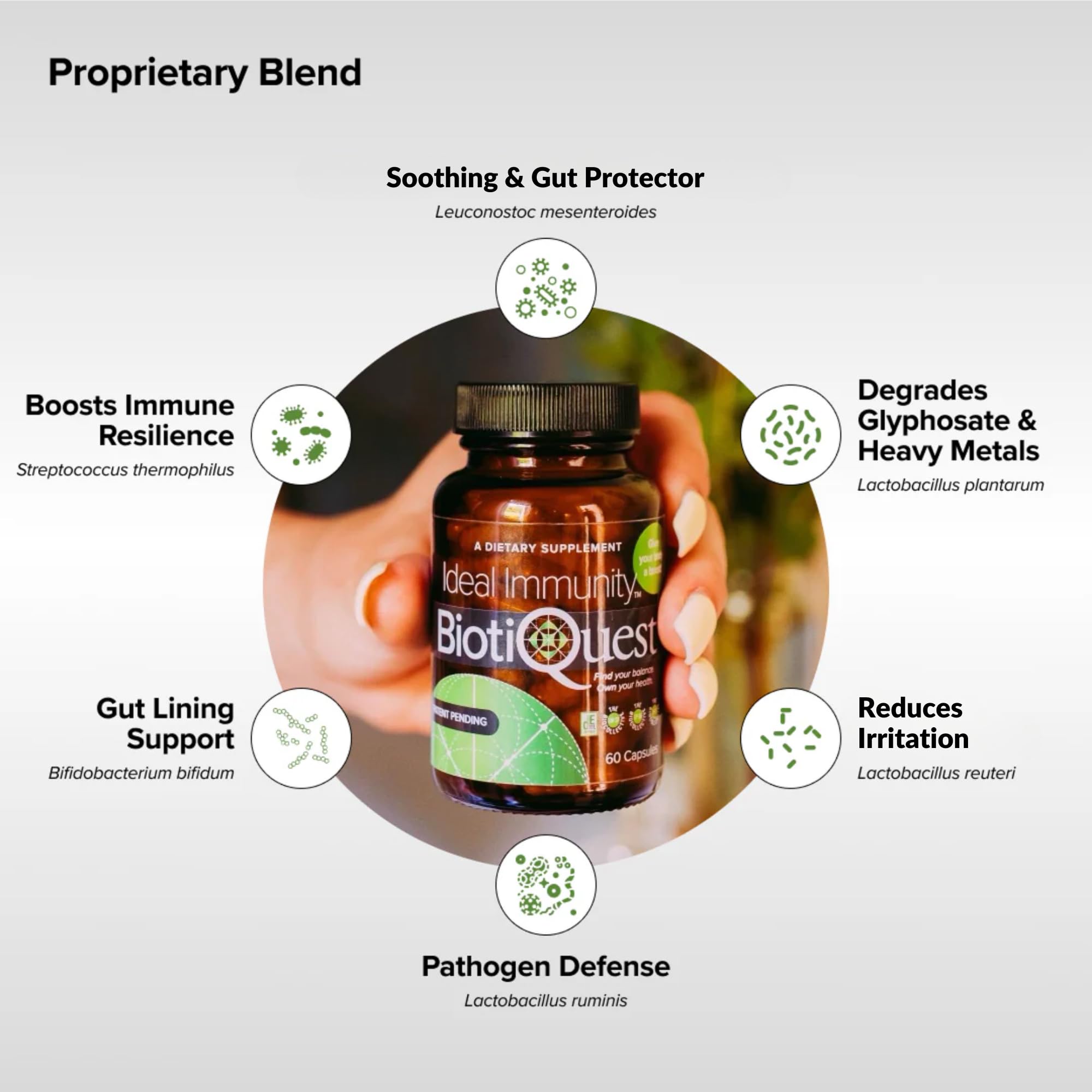 BiotiQuest Ideal Immunity probiotics bottle open for easy access and dosing.