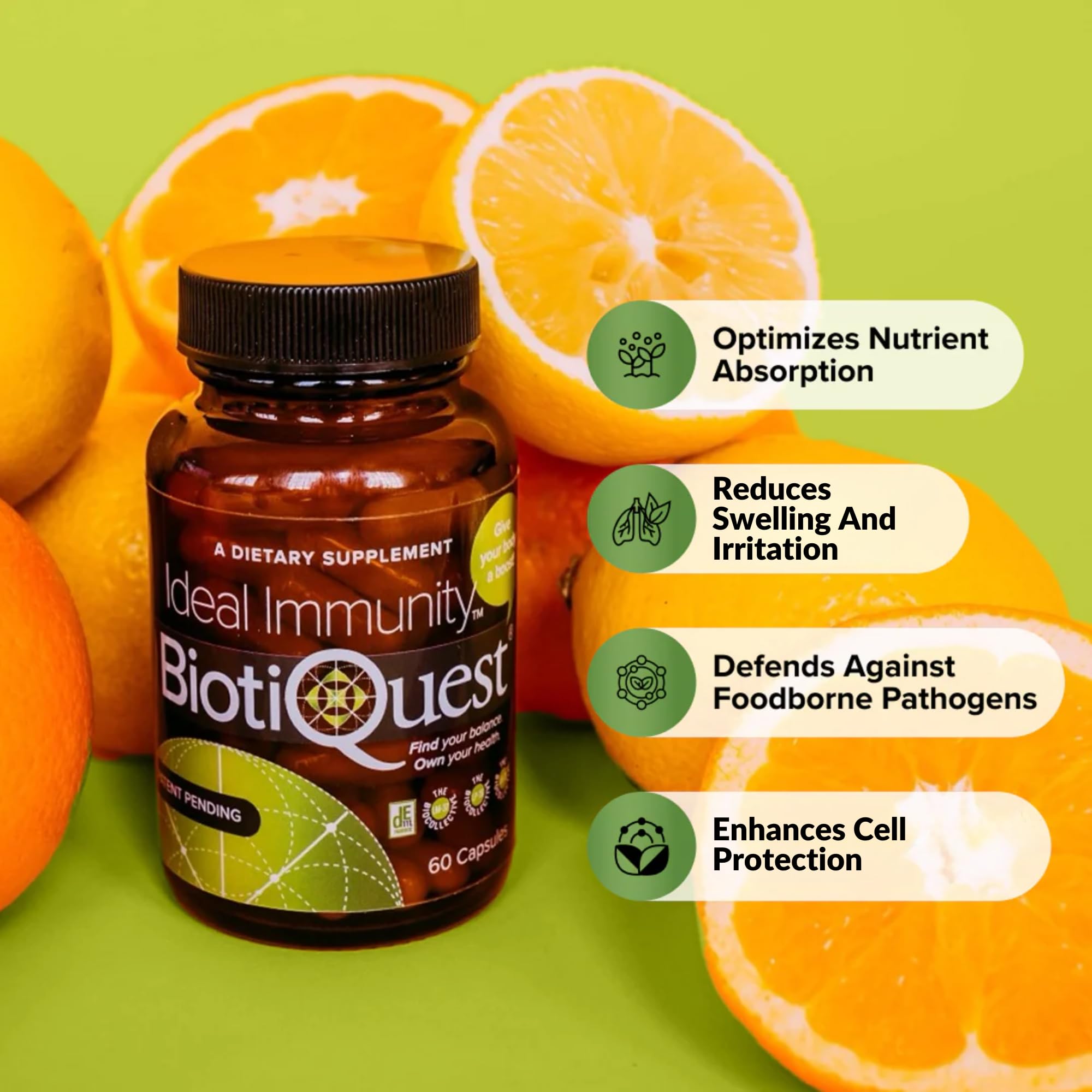 BiotiQuest Ideal Immunity packaging design emphasizes probiotic quality and vegan formula.