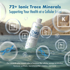 BioTrace Dead Sea Mineral Drops dropper used to measure precise drops for personalized dosing.