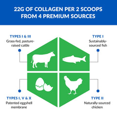 BioTrust Ageless Vanilla collagen powder blended into a beverage