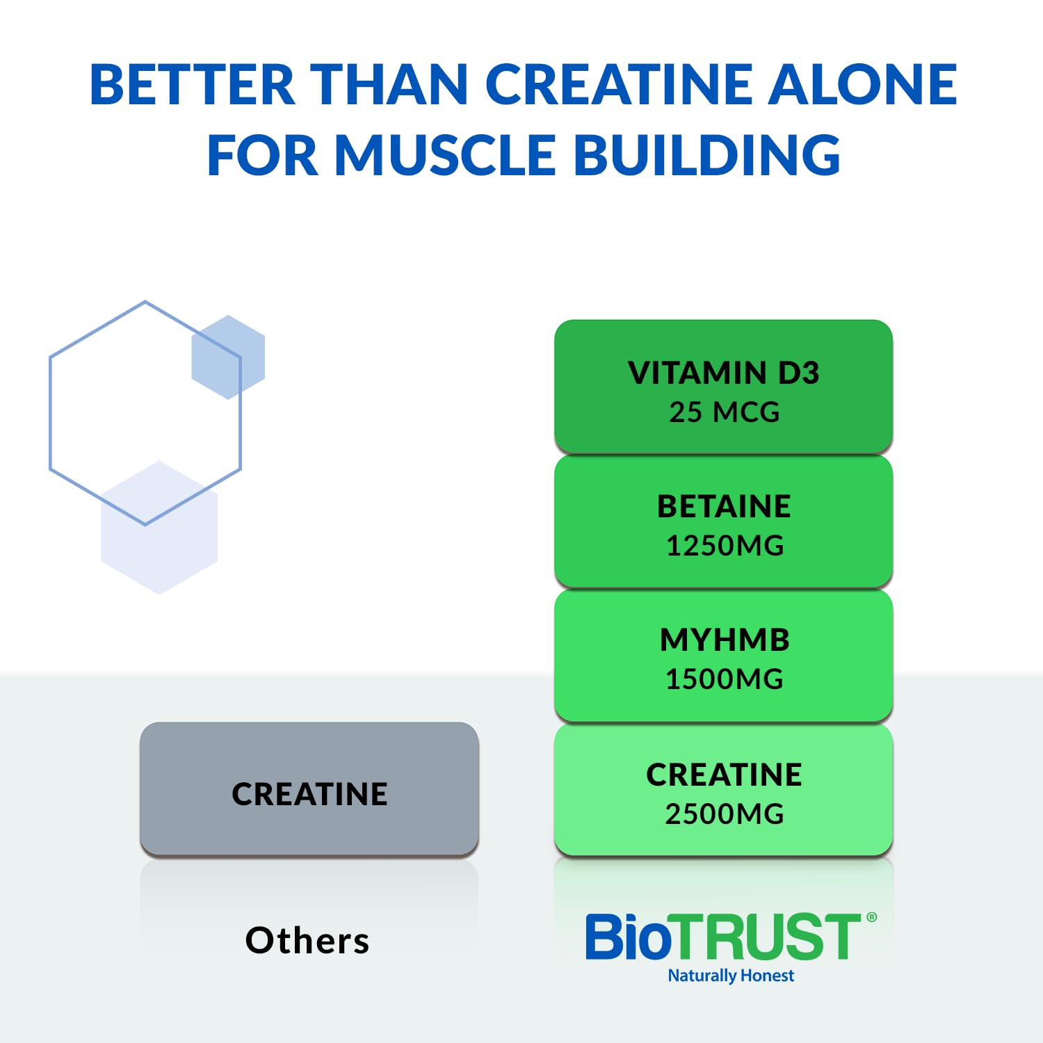 BioTrust Ageless Muscle Builder scoop dispensing powder for easy mixing.