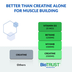 BioTrust Ageless Muscle scoop beside powder for quick use