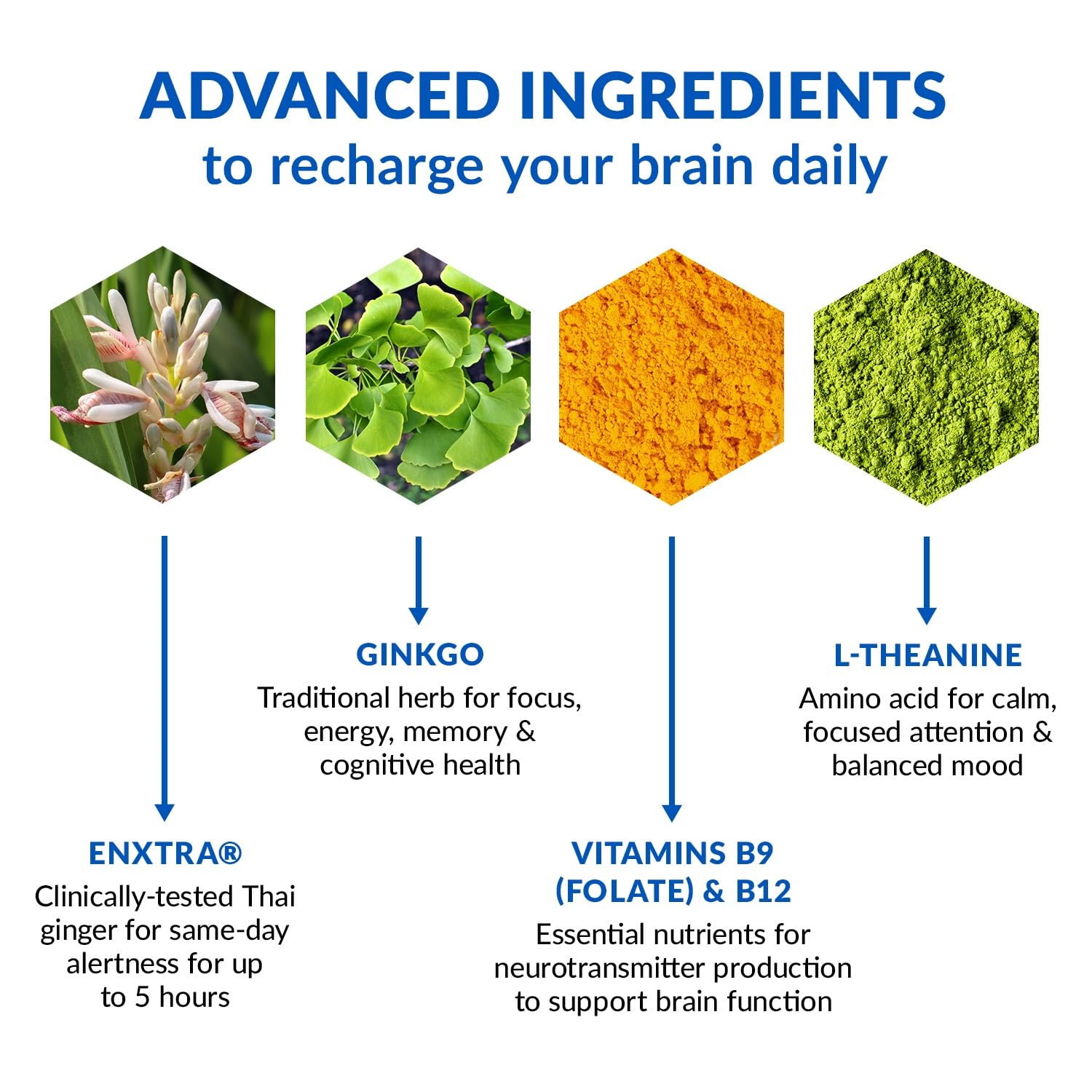 BioTrust Brain Bright ginkgo and ginger ingredients for focused energy