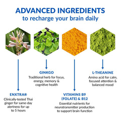 BioTrust Brain Bright ginkgo and ginger ingredients for focused energy