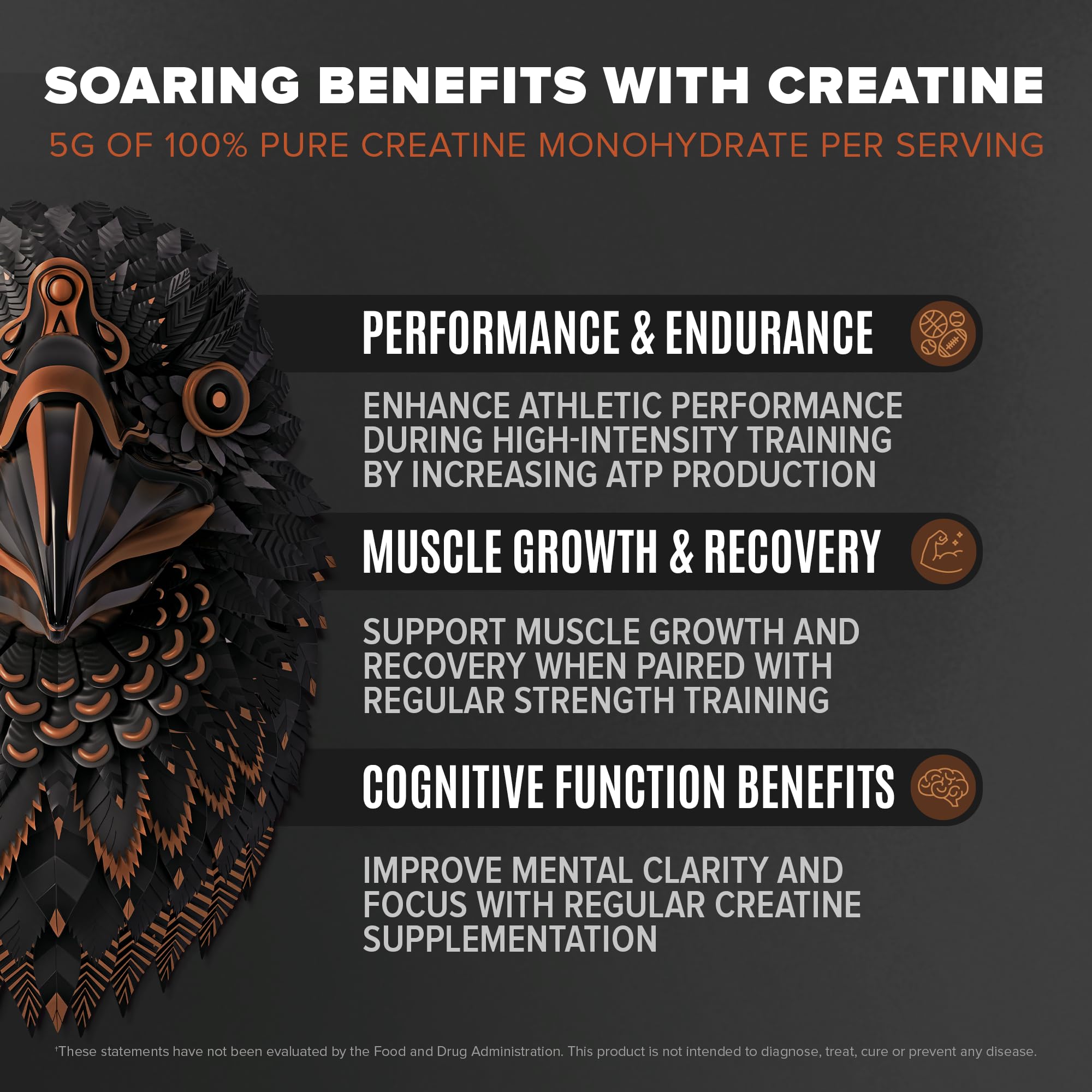 Birdman Falcon Performance chocolate powder close-up emphasizing dairy-free, low-carb protein for athletes.