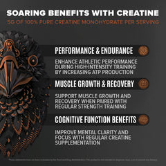 Birdman Falcon Performance chocolate powder close-up emphasizing dairy-free, low-carb protein for athletes.