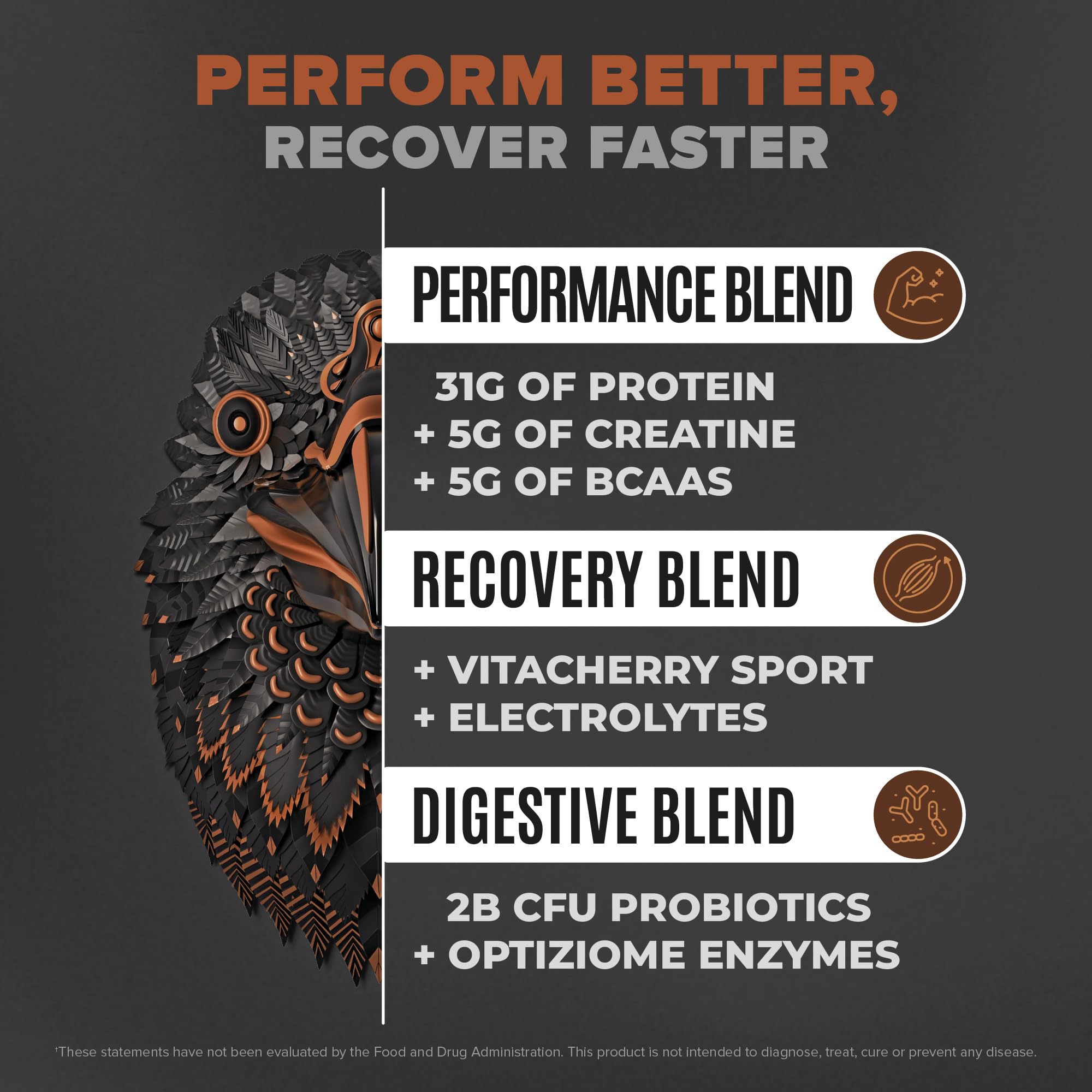 Birdman Falcon Performance protein powder scoop ready to mix for post-workout recovery.