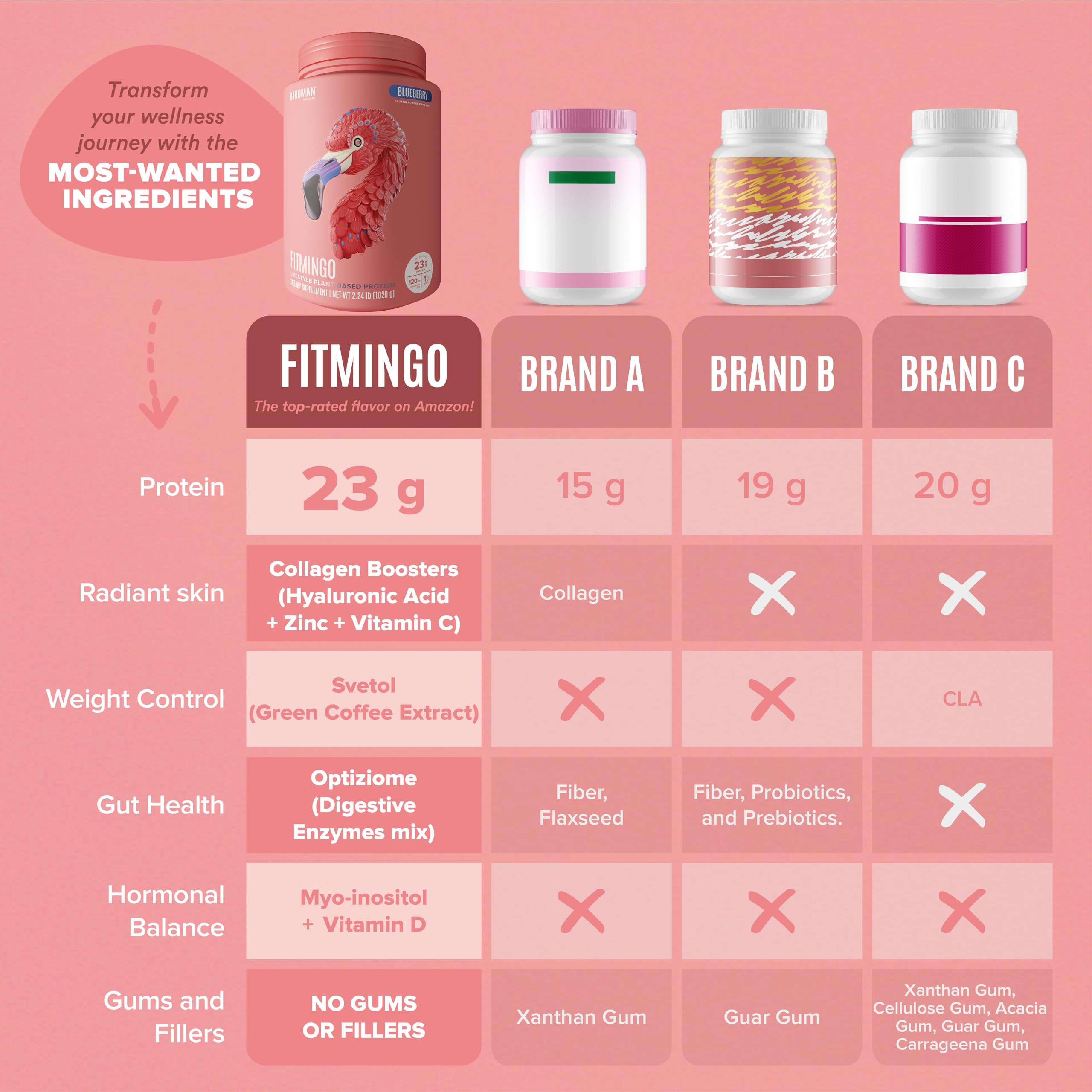 BIRDMAN Fitmingo blueberry protein powder label closeup shows zinc and hyaluronic acid benefits.