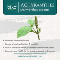 bixa BOTANICAL Apamarga powder pour close-up shows readiness for blending into beverages.