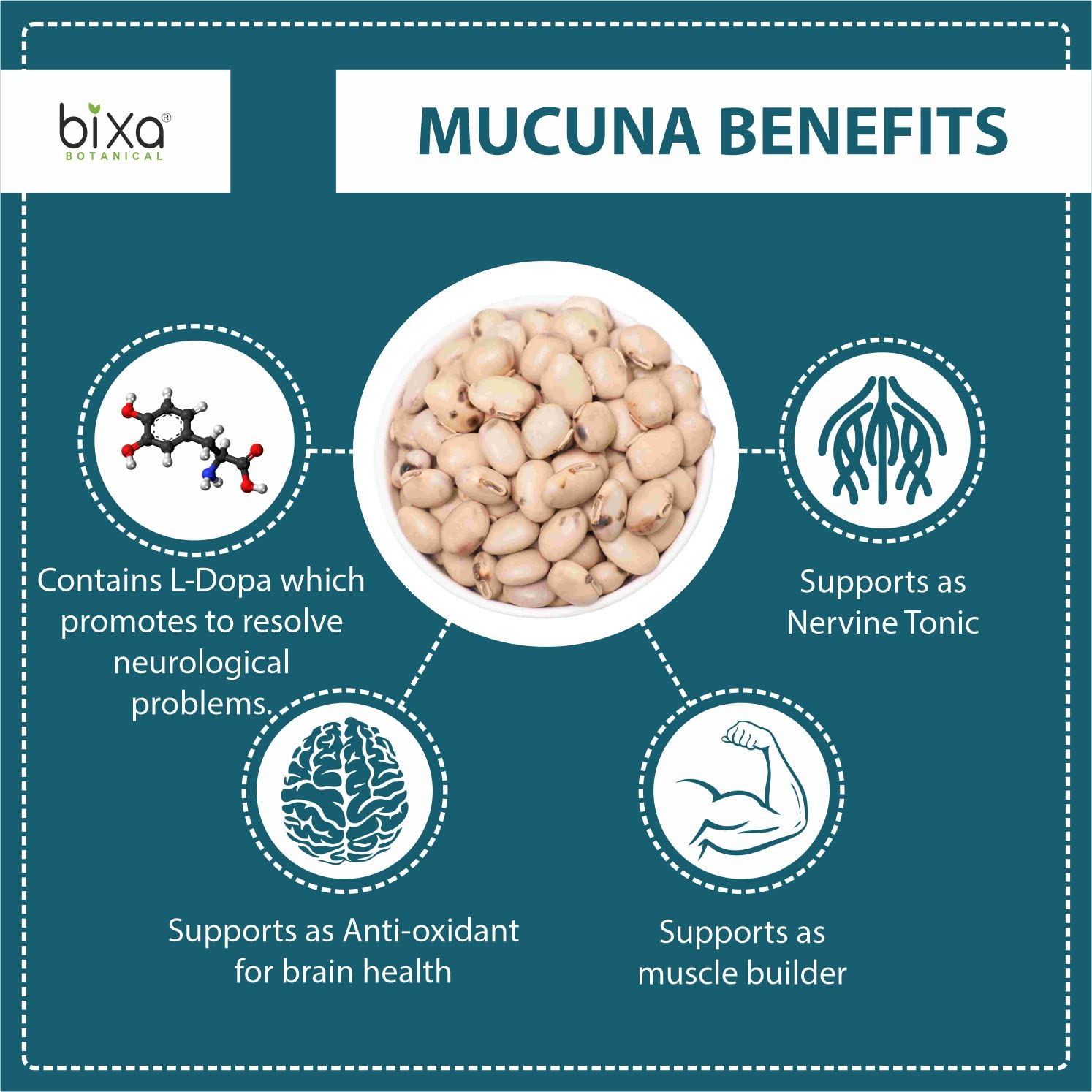 Close-up of the measured scoop with Mucuna powder, suggesting easy daily servings.