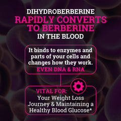 Black Forest Berberine DHB cinnamon detail showing the synergistic spice blend.