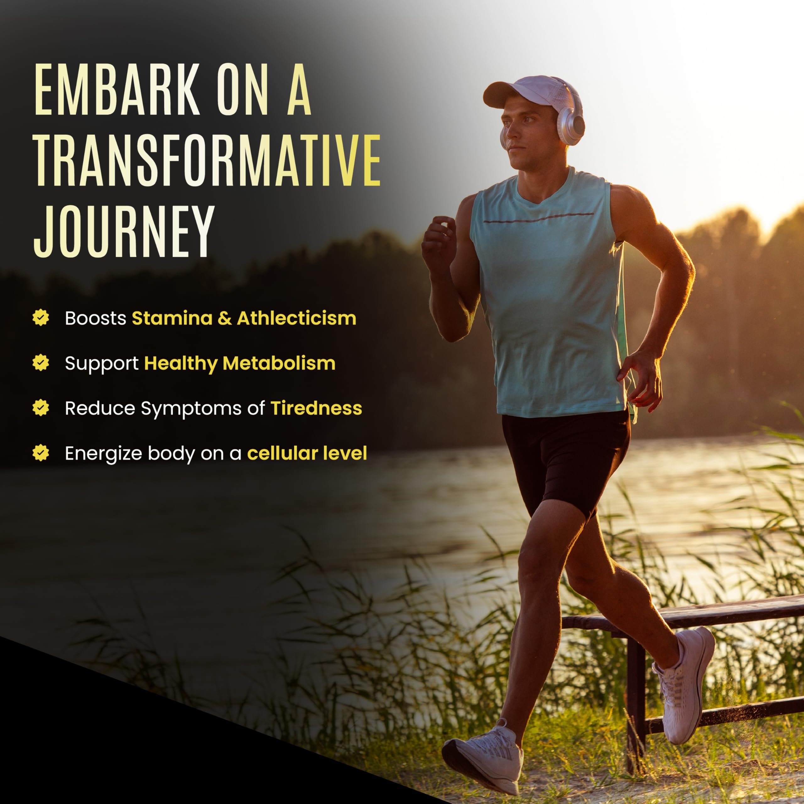 Black Lotus Shilajit tablets in hand convey personalization and easy dosing options