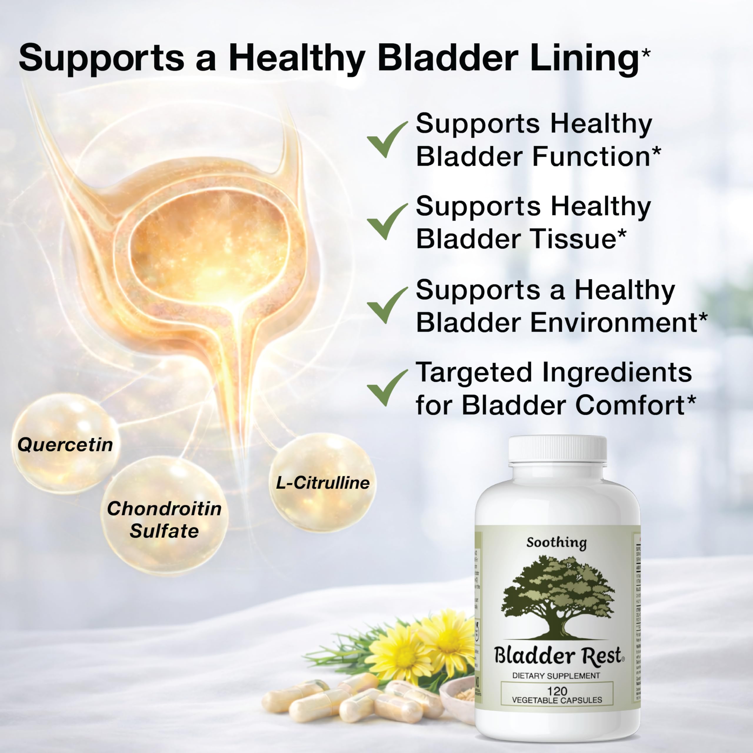 Bladder Rest label and USA made seal on the packaging