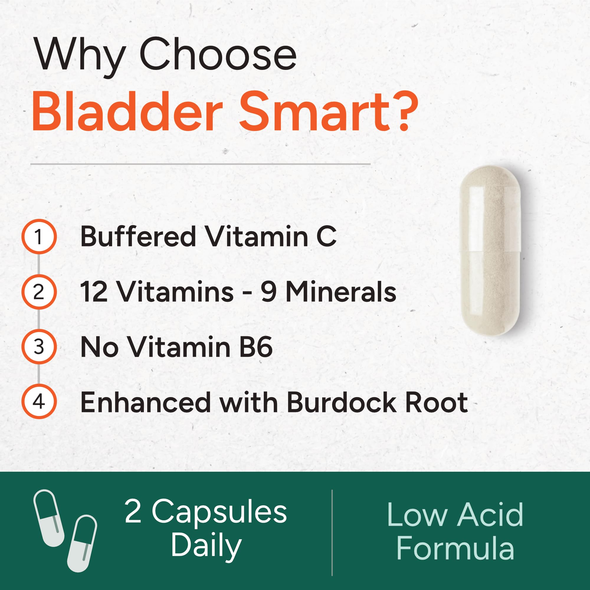 Burdock root illustration indicating added wellness support without harsh additives.
