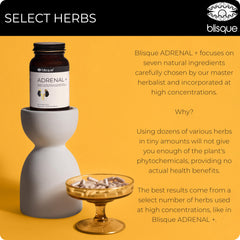 Blisque Adrenal+ ingredient panel illustration highlights eleuthero, schizandra, ginseng.