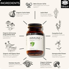 Astragalus, echinacea, and garlic blend in Blisque Immune +