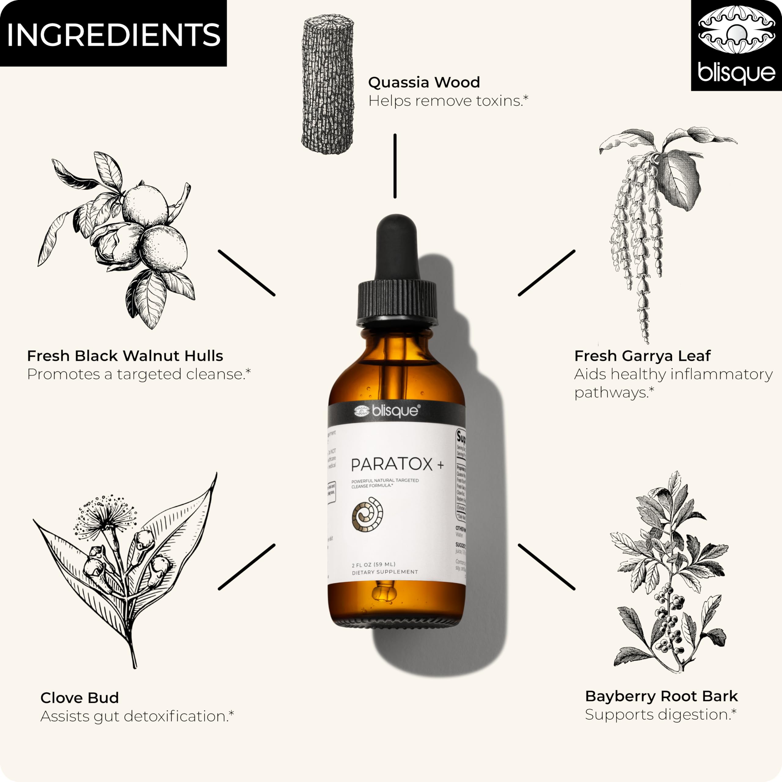 Blisque Black Walnut Hull ingredient highlights natural detox components