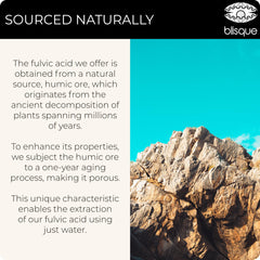 Blisque Fulvic Minerals illuminated bottle label communicates purity and safe sourcing.