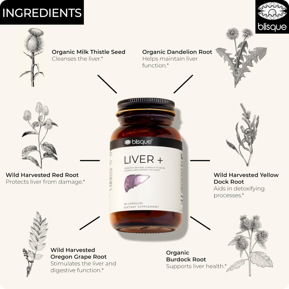 Blisque LIVER+ ingredient dandelion close-up emphasizing herbal roots.