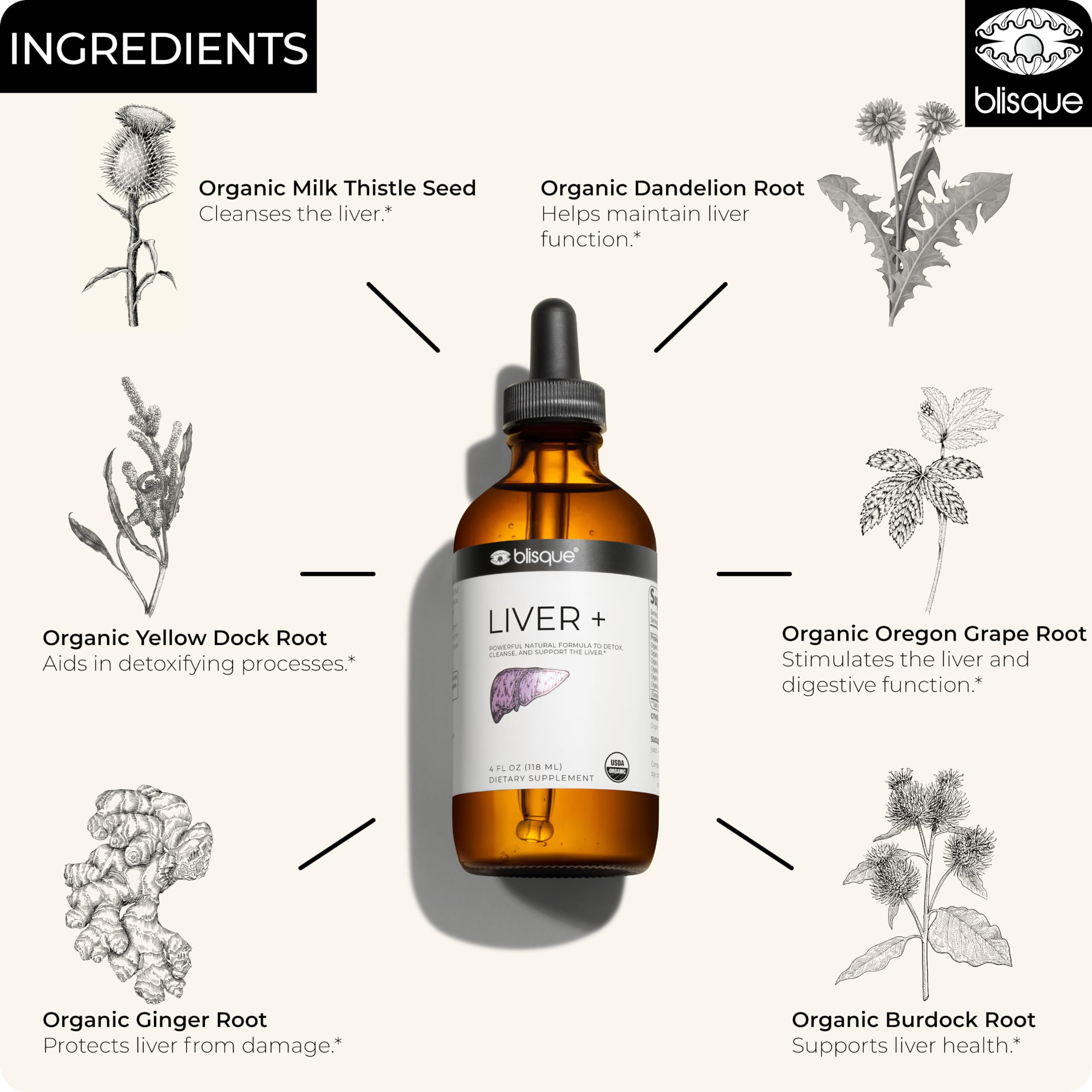 Blisque LIVER+ milk thistle ingredient showcase for herbal support.