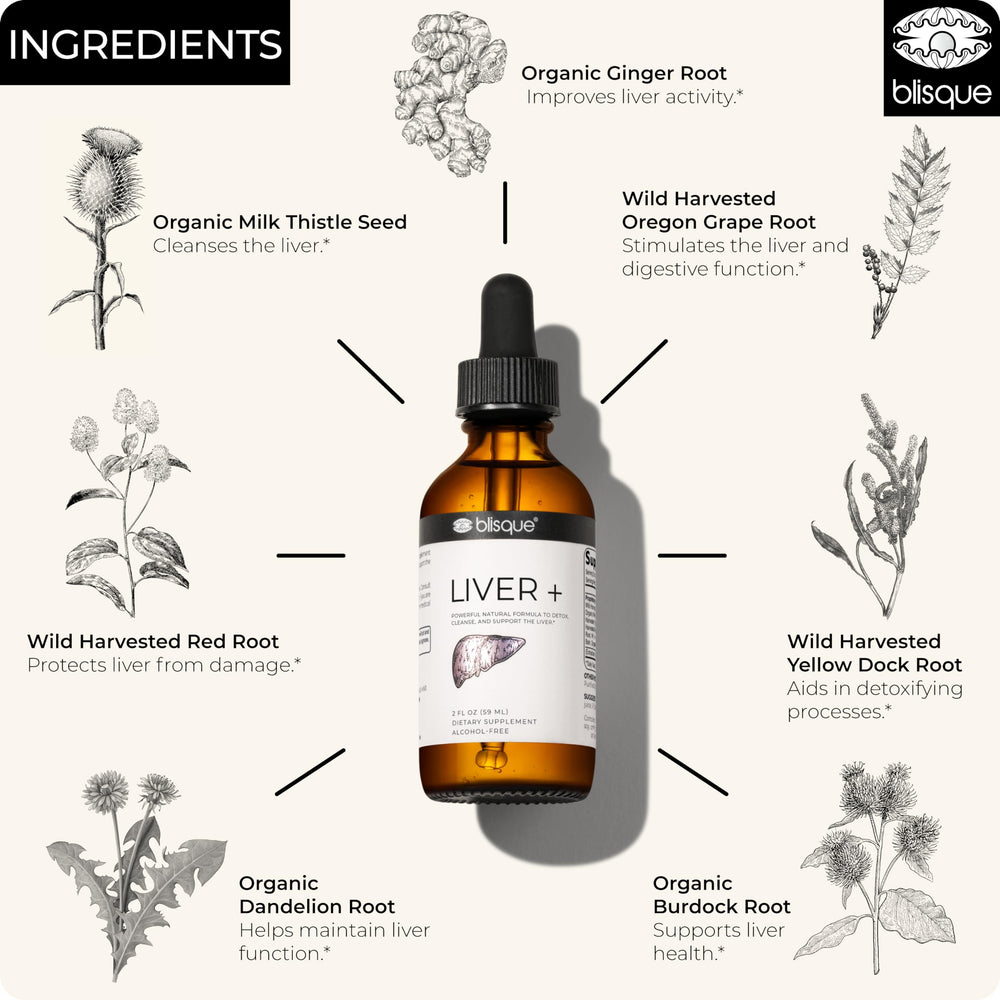 Blisque LIVER+ liquid extract visualization, fast-absorbing herbal liver support.