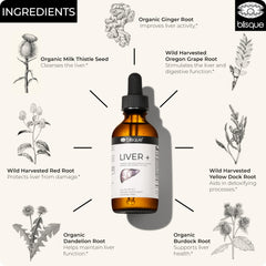 Blisque LIVER+ liquid extract visualization, fast-absorbing herbal liver support.