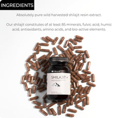 Blisque Shilajit capsules close-up texture shows glossy resin.