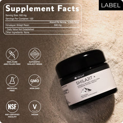 Blisque Shilajit Resin in Himalayan backdrop highlights authentic origin and purity.