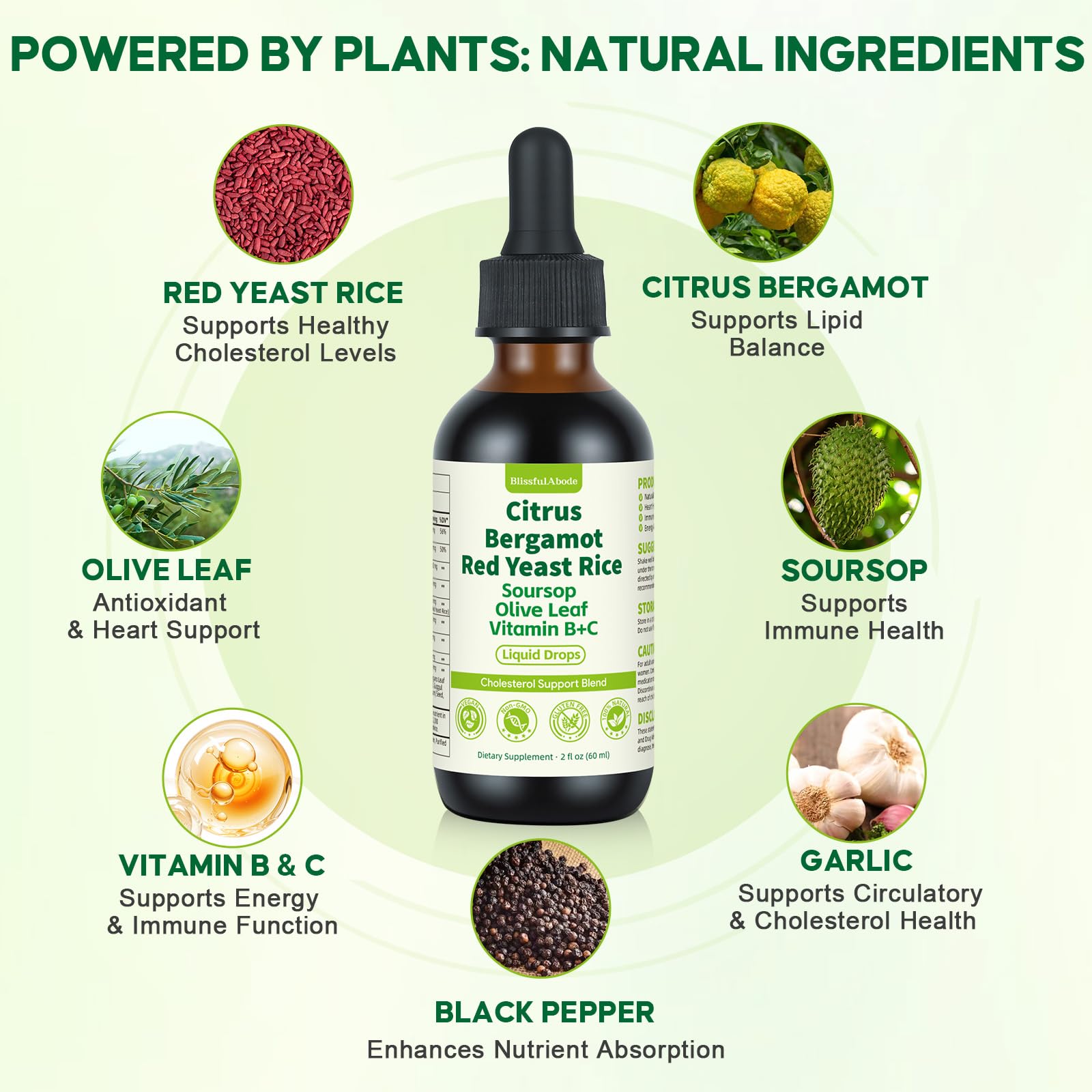 BlissfulAbode Soursop Olive Leaf blend visual, antioxidant-friendly daily supplement.