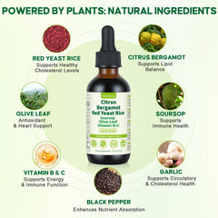 BlissfulAbode Soursop Olive Leaf blend visual, antioxidant-friendly daily supplement.