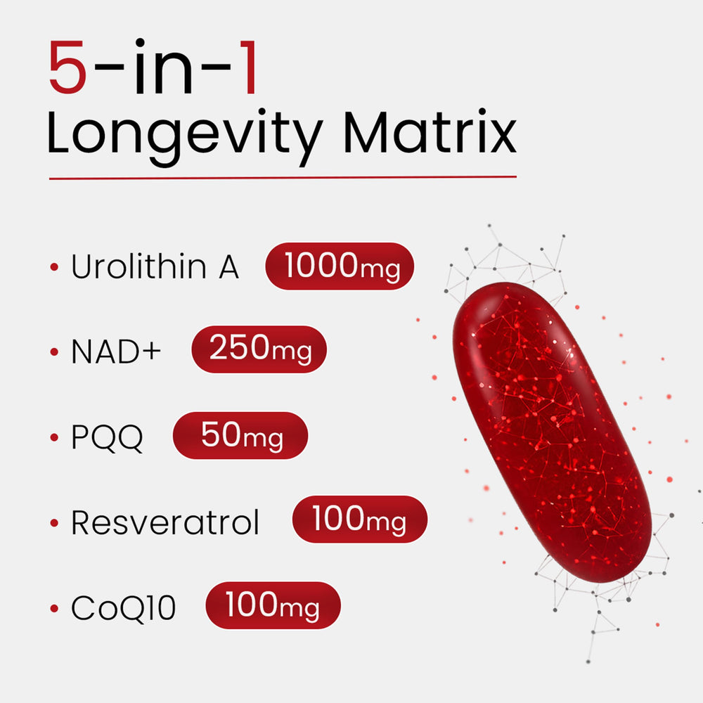 Bloomeo 5-in-1 longevity matrix graphic highlighting five aging pathways and renewal