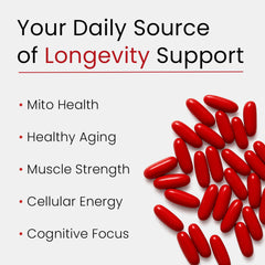 Bloomeo Resveratrol and CoQ10 illustration signals antioxidant defense for cells