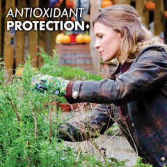 Bluebonnet softgels dispensing for daily intake.