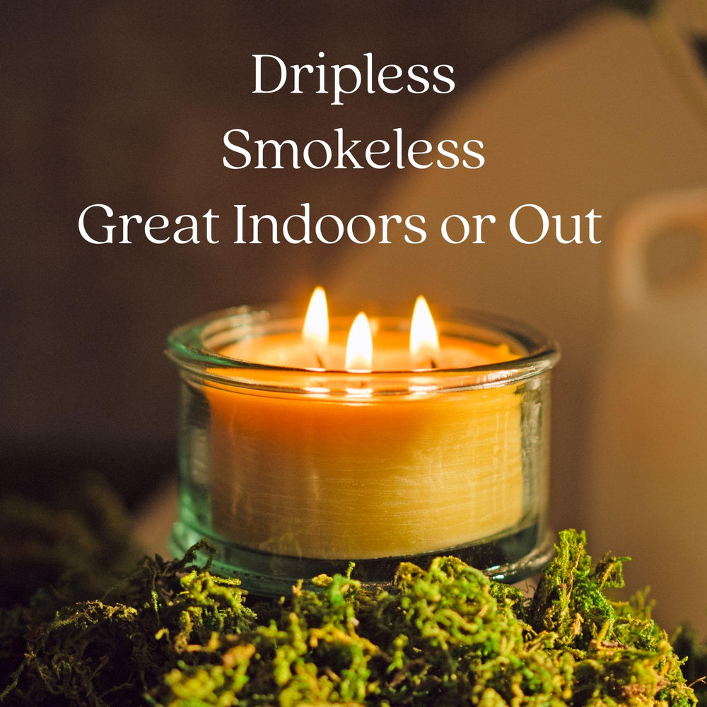 Bluecorn Beeswax candle with warm amber glow for cozy evenings.