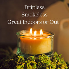 Bluecorn Beeswax candle with warm amber glow for cozy evenings.