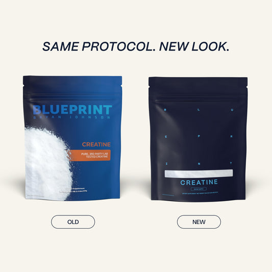 5g scoop of Blueprint Bryan Johnson Creatine Monohydrate for precise daily dosing