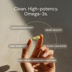 Blueprint Bryan Johnson Omega-3 capsules, high-absorption omega-3 benefits.