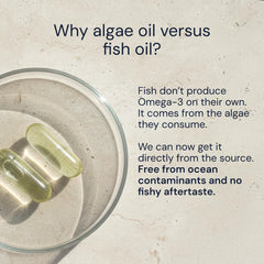 Blueprint Bryan Johnson Omega-3 label close-up showing 1:1 EPA/DHA balance.