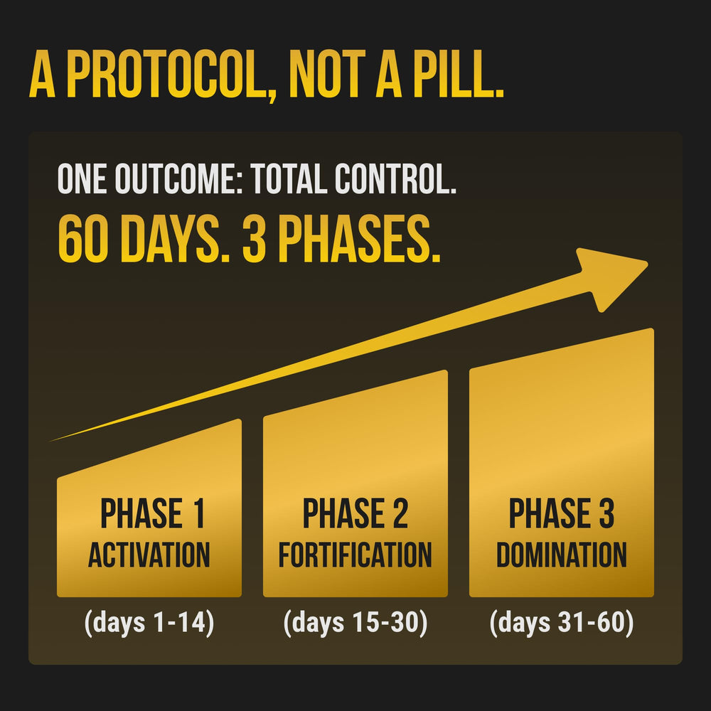Body C.E.O. 12-in-1 Strength Protocol packaging box communicates quality.