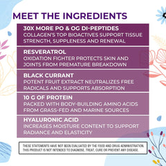 Body Kitchen Youthful Beauty ingredients glossary featuring key components