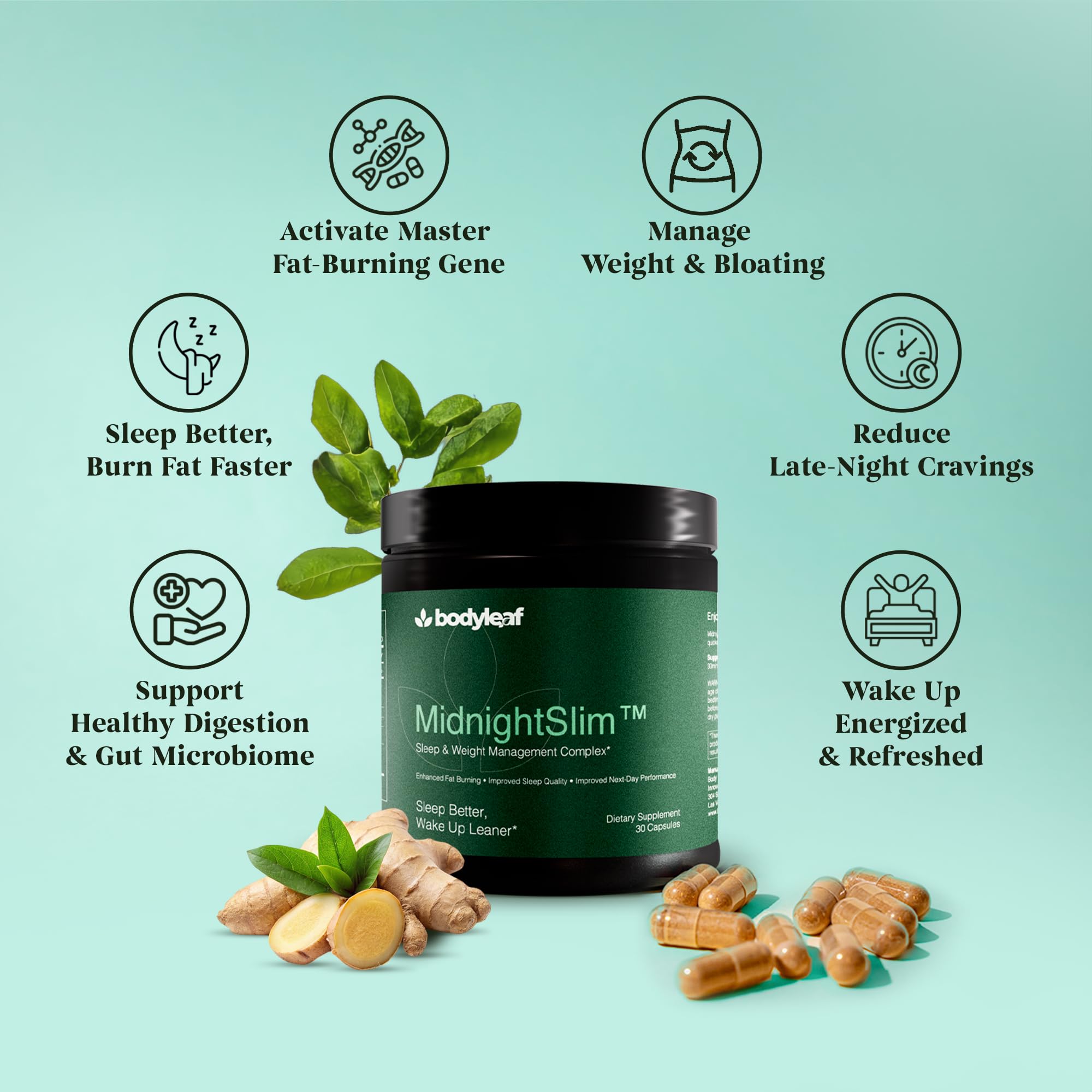 Illustration of the MidnightSlim probiotic complex and sleep ingredients.