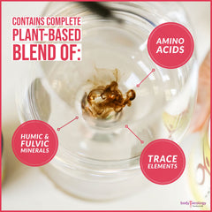 Body Ecology Detox-focused minerals formula suggesting cleansing lifestyle support