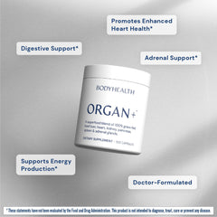 BodyHealth Organ+ grass-fed kidney capsule for metabolic support.